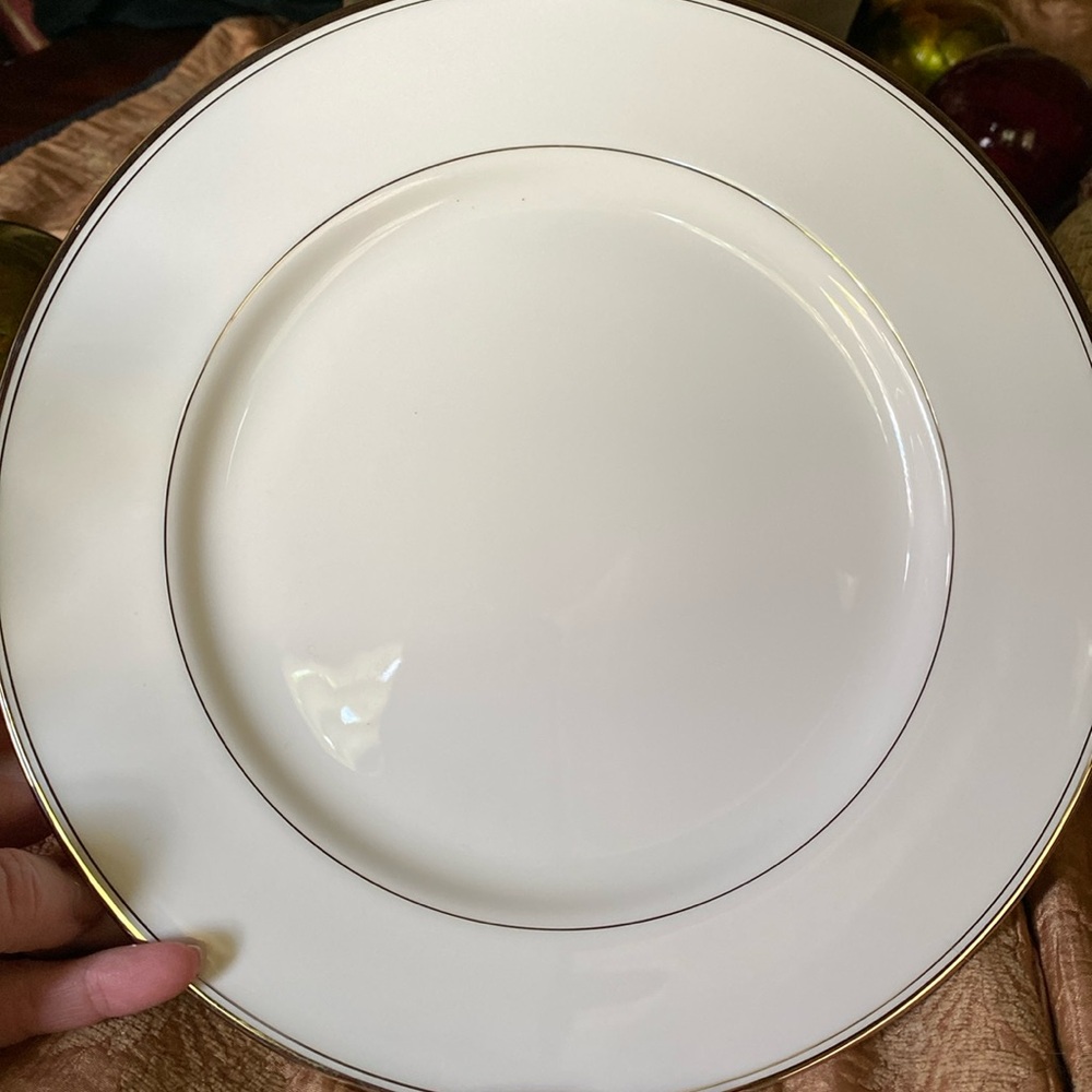 Mikasa GOTHIC PLATINUM 10 3/8Inch Plate Set of Twenty DINNER Plates Never Used